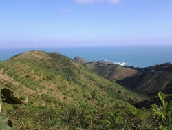 Siapa Sangka, Kebumen Punya Pantai Secantik Ini!