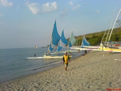 Baluran & Pantai Pasir Putih, Kekayaan Alam dari Situbondo