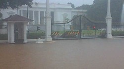 Saat Paspampres Setia Jaga Istana di Tengah Hujan Deras dan Banjir