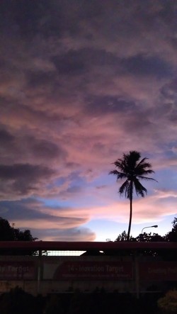 Sampai Ketemu Esok Hari Matahari