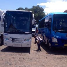 2016, Bus Damri Banyuwangi Layani Jalur Terpencil