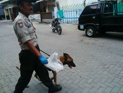 PSK yang Tewas di Semarang Diduga Dibenturkan ke Tembok Berpaku