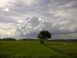 Awan di Pematang Sawah