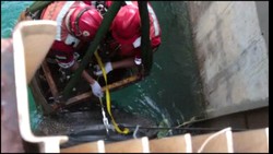 Ini Video Evakuasi Bangkai Hiu Paus Seberat 6 Ton di PLTU Paiton