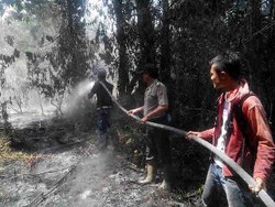 Kebakaran Lahan Kembali Terjadi, di Riau Terdeteksi 37 Titik Panas
