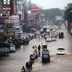 Pengakuan Investor Properti Soal Misteri Kepala Naga di Kawasan Banjir