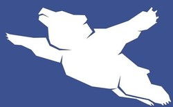 Bandara Ini Di-bully Karena Logo Beruang Terbang