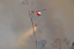 Heli Mulai Diterjunkan untuk Padamkan Kebakaran Hutan di Bengkalis