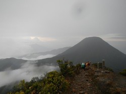 Pemandangan Indah Setelah Hujan di Puncak Gunung Gede