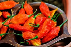 Berani Coba? Ini Dia Cabai Terpedas di Dunia (2)