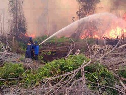 Pemadaman Kebakaran Hutan di Bengkalis Lebih Efektif dari Udara