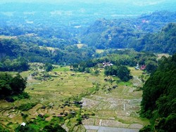Kecantikan Toraja Utara yang Jarang Orang Tahu