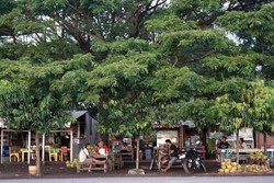 Ini Keren! Banyuwangi Gelar Festival Toilet Bersih