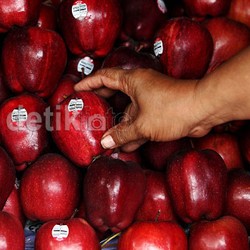 Apel Impor Dilapisi Lilin, Kementan: Masih Aman Dikonsumsi