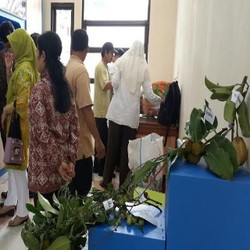 Mentan Gelar Acara Promosi Buah Lokal, Tapi Sepi dan Tak Bergairah
