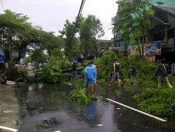 Angin Kencang Tumbangkan Pohon di Yogyakarta