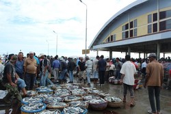 Pelabuhan Lampulo, Pusatnya Ikan Segar di Banda Aceh