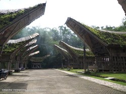 Toraja, Keunikan Budaya Indonesia di Sulawesi Selatan
