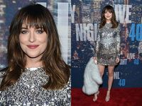 Fifty Shades of Silver Dakota Johnson