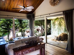 Di Hotel Ini, Bisa Tidur Bareng Singa Sampai Beruang