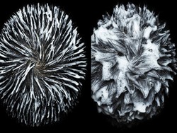 Rambut Dikeramas Jadi Foto Abstrak yang Unik