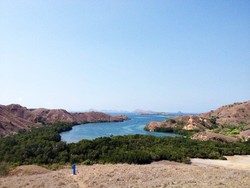 Pantai Pink & 4 Destinasi Wajib Kunjung di NTT