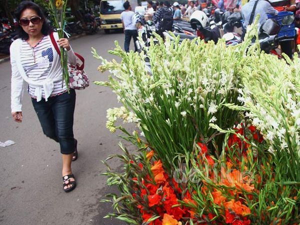 Jelang Imlek Penjual Bunga Diserbu Warga
