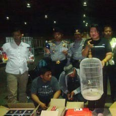 Polisi Amankan Miras dan Burung dari Penumpang Kapal