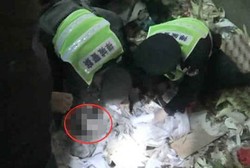 Tertimpa Muatan Truk Sampah, Pria Ini Terkubur Hidup-hidup