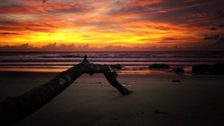 Waiting for Dying...