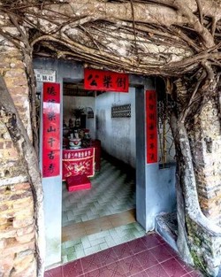 Ajaib! Ada Kelenteng di Dalam Akar Beringin di Bintan