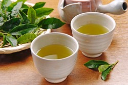 Jika Dikonsumsi Setiap Hari, Teh HIjau Bisa Cegah Alergi dan Gigi Berlubang