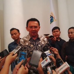 DKI Akan Coba Bangun Peternakan Sapi 100 Hektar di Kabupaten Kupang