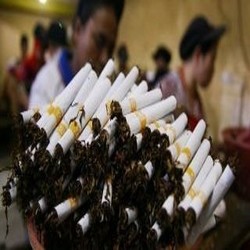 Setahun RI Produksi 360 Miliar Batang Rokok, 94% Jenis Kretek