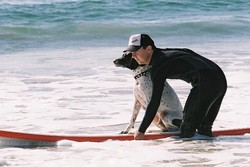 6 Pekerjaan Paling Aneh di Bidang Travel