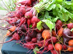 Sering Membuang Daun Kol Bagian Luar? Bagian Tersebut Justru Paling Kaya Nutrisi!