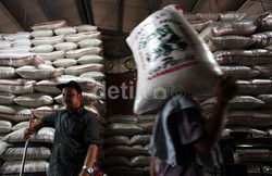 Ini Penyebab Harga Beras Naik Tinggi