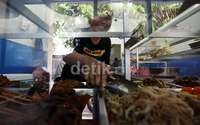 Harga Beras Mahal, Warteg Pilih Kurangi Ukuran Lauk Jadi Lebih Kecil