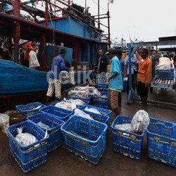 Alat Tangkap Ikan Tak Ramah Lingkungan Masih Beredar di Jawa Tengah