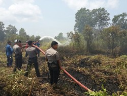Puntung Rokok Picu Kebakaran Lahan di Komplek Perkantoran Pemkab Kep Meranti