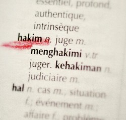 Ini Putusan Pengadilan Pertama di Dunia, Pembunuhan Berlatar Belakang KDRT