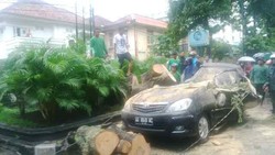 Hujan Deras dan Angin Kencang di Yogya, 1 Pemotor Tewas Tertimpa Pohon