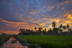 Sunset di Pematang