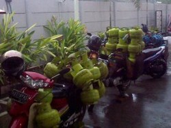 Harga Elpiji 3 Kg Naik, Di Warung Jadi Rp 20.000/Tabung