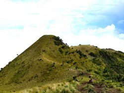 Selandia Baru? Bukan, Ini Gunung Merbabu
