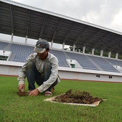 Mengenal 3 Jenis Rumput Lapangan Sepakbola