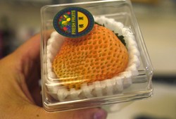 Mau Cicip? Strawberry Segar dengan Warna dan Aroma Persis Peach