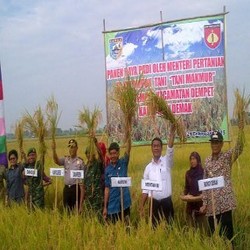 Genjot Produksi Beras, Kementan Siapkan Rp 500 M untuk Peremajaan Mesin Giling