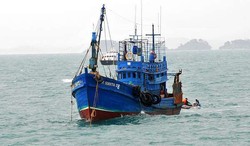 TNI AL Tangkap 4 Kapal Pencuri Ikan dari Filipina di Laut Sulawesi