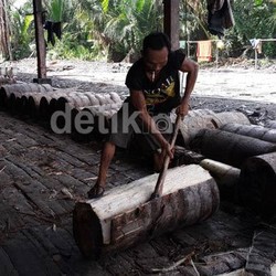 Di Daerah Ini, Kulit Tanaman Sagu Akan Dipakai untuk Pembangkit Listrik